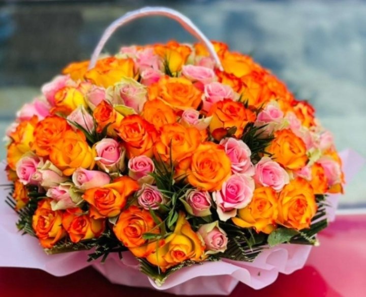 whatsapp image 2025 12 28 at 13.00.19